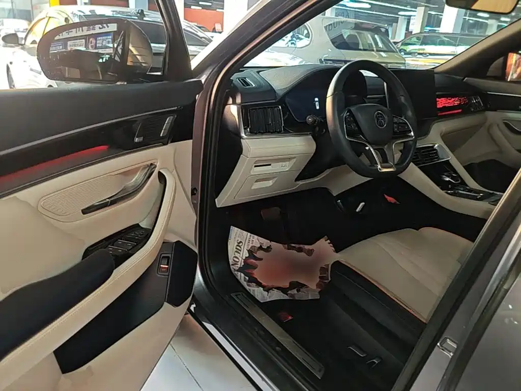 BYD PLUS New Energy — миниатюра 16
