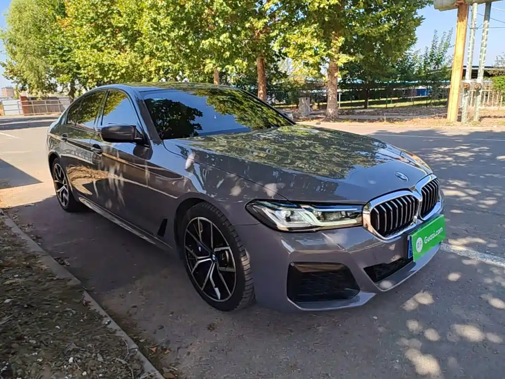 BMW 5 Series (Import) — миниатюра 4