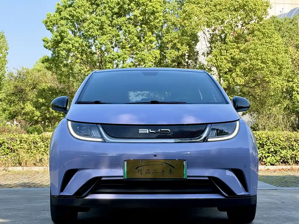 BYD Dolphin — миниатюра 2