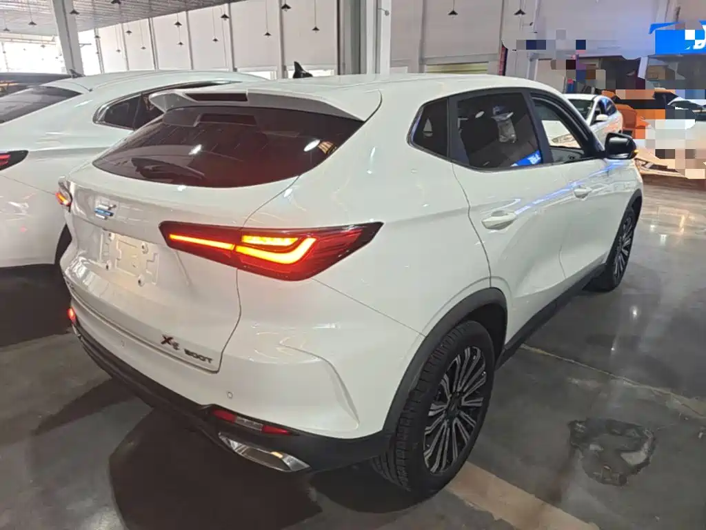 Oshan Oushang X5 — миниатюра 7