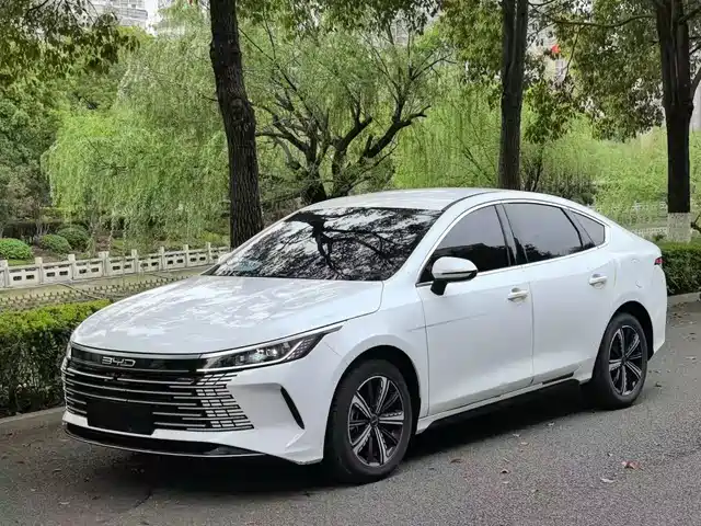 2024 BYD Destroyer