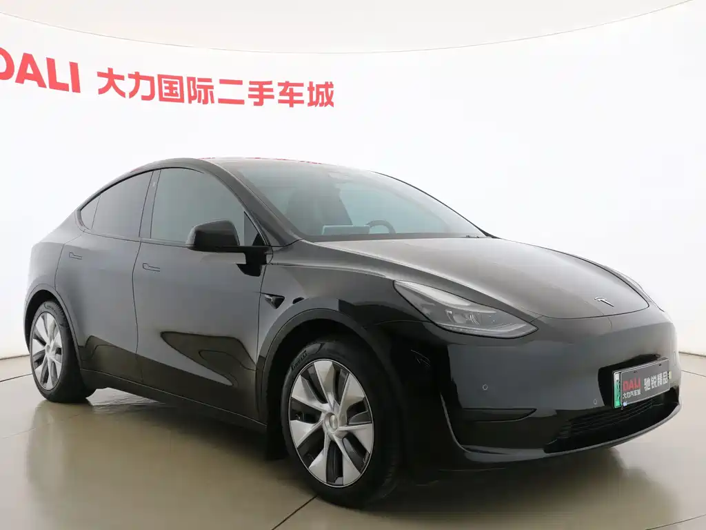 Tesla Model Y — миниатюра 3
