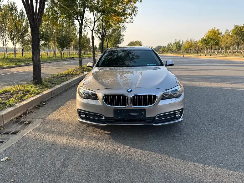 BMW 5 Series — миниатюра 2