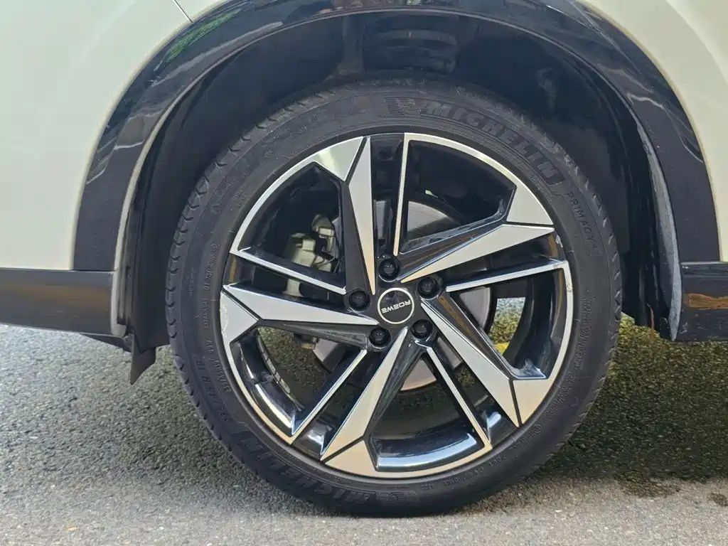 Roewe RX5 MAX 1.5T Auto Aspire Luxury Edition, фото 19