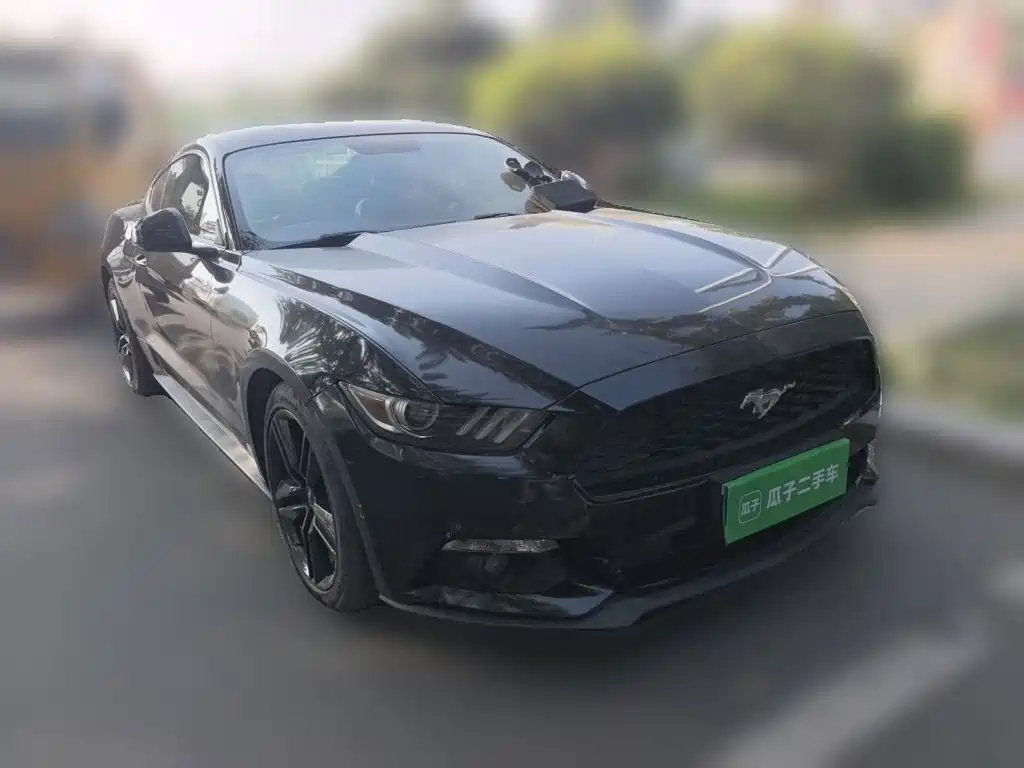 Ford Mustang — миниатюра 3