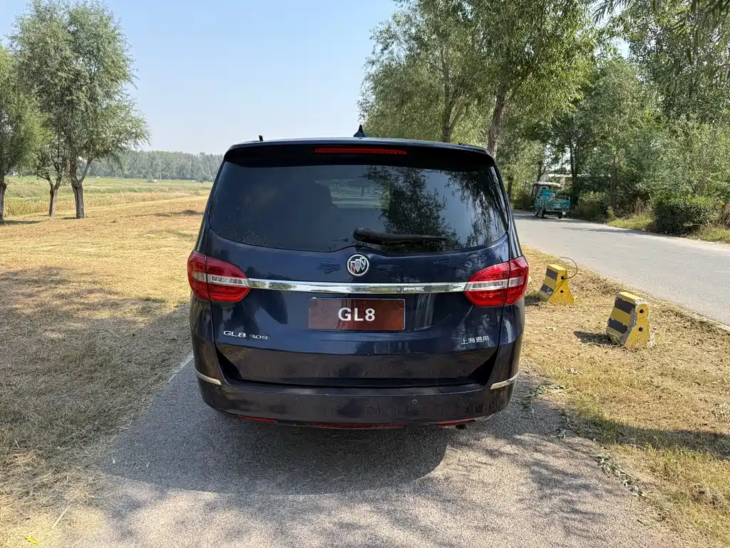Buick GL8 — миниатюра 3