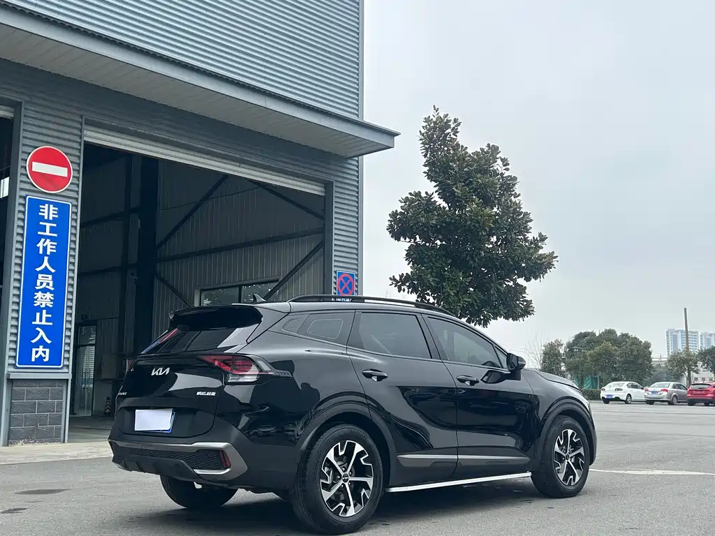 KIA LION PLATINUM EXPANDS THE WORLD