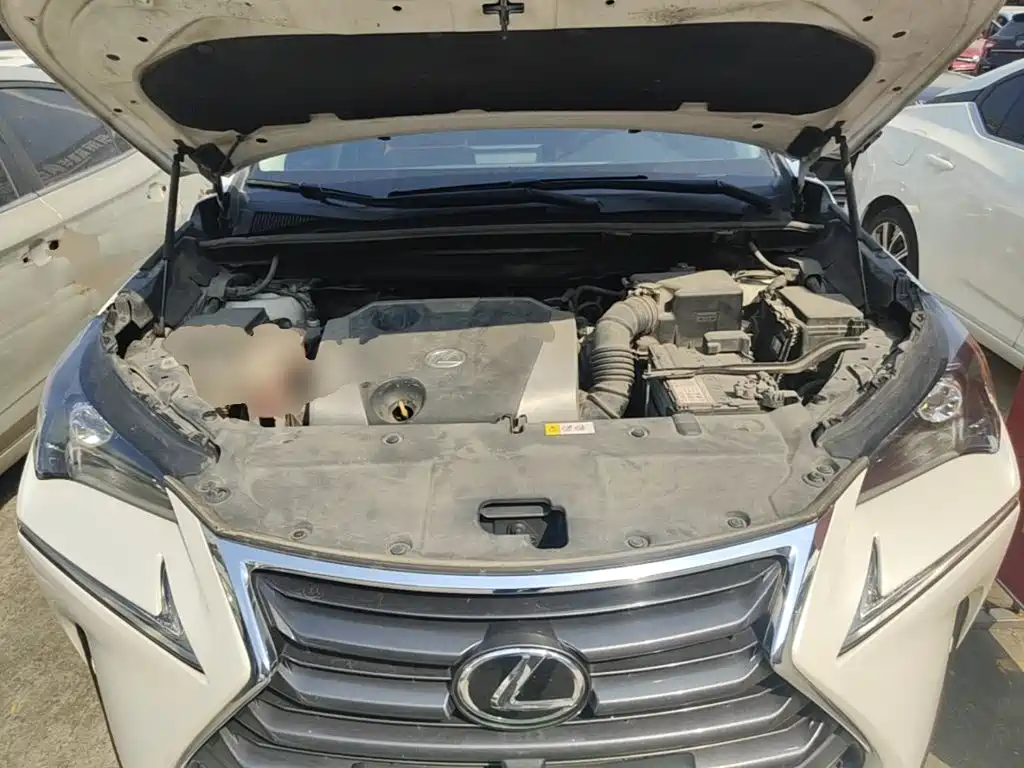 Lexus NX — миниатюра 20