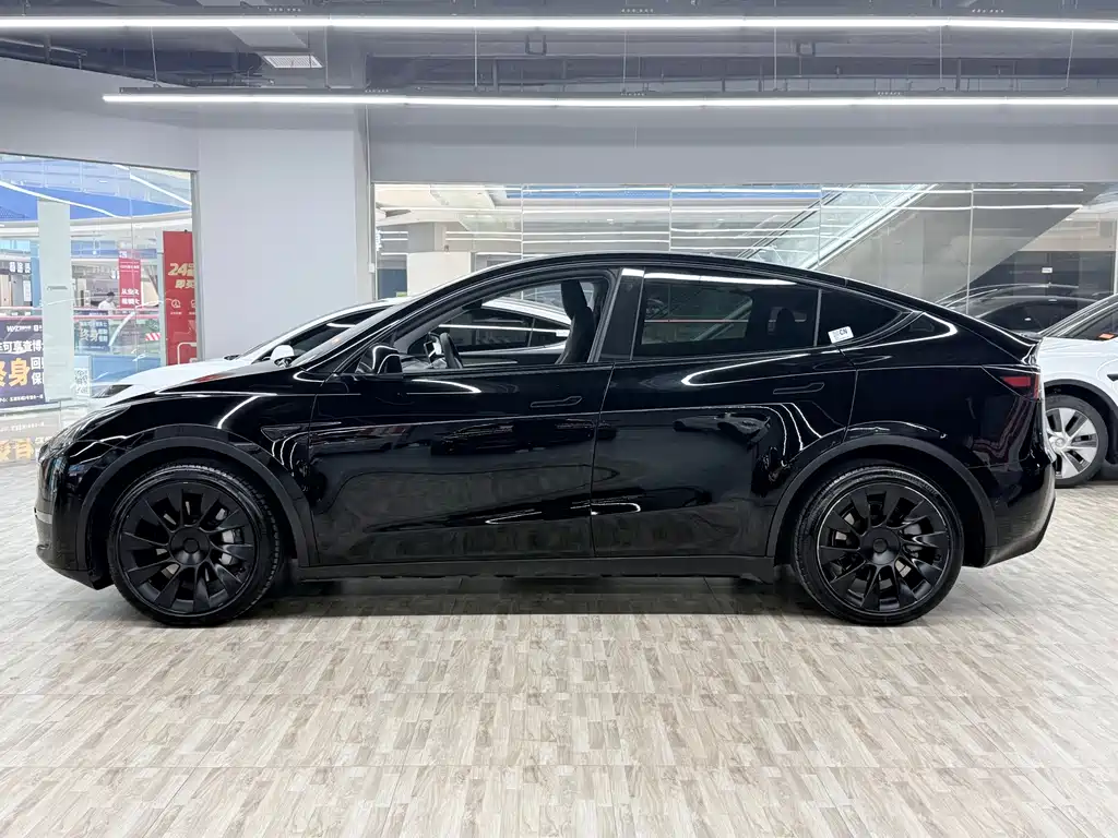 Tesla Model Y — миниатюра 2