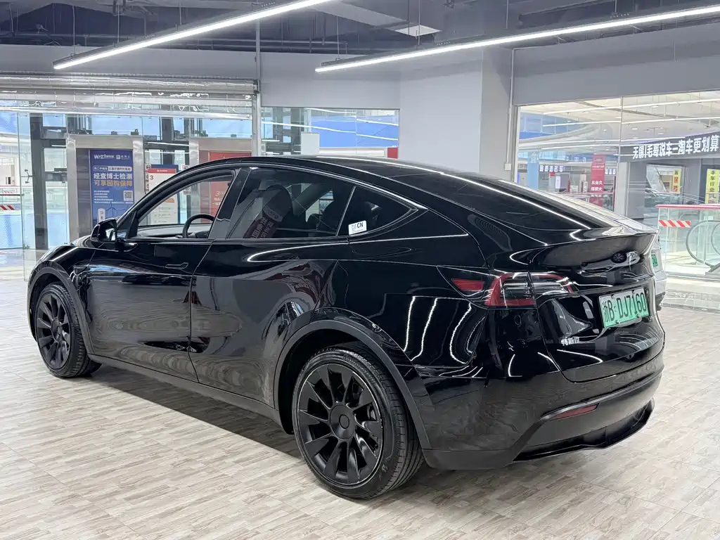 Tesla Model Y — миниатюра 3