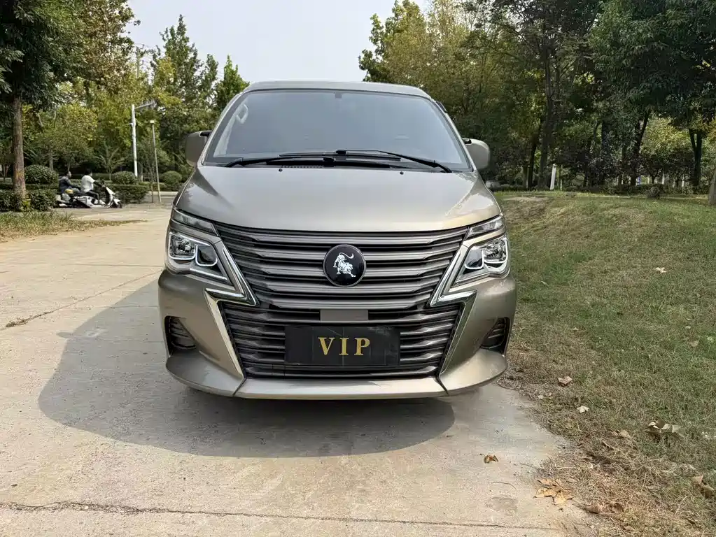 Fengxing Lingzhi — миниатюра 2