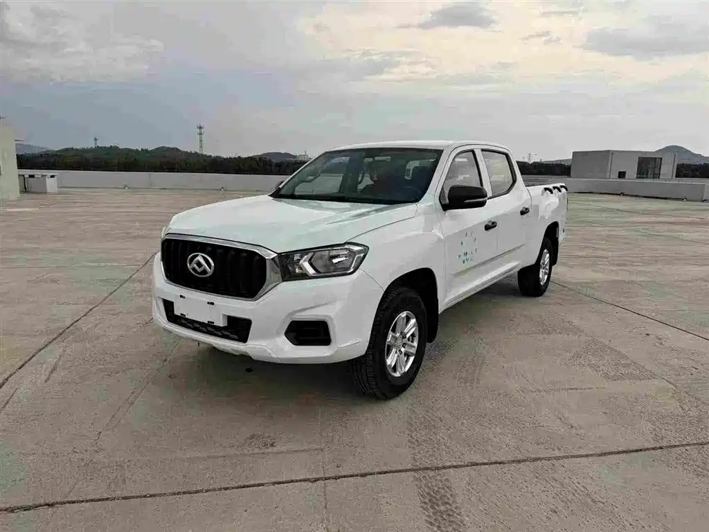 Maxus T60