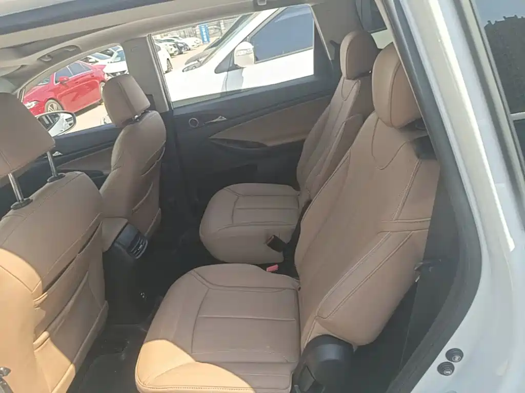 Buick GL6 — миниатюра 17