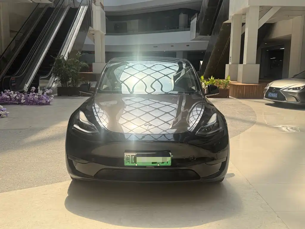 Tesla Model Y — миниатюра 2