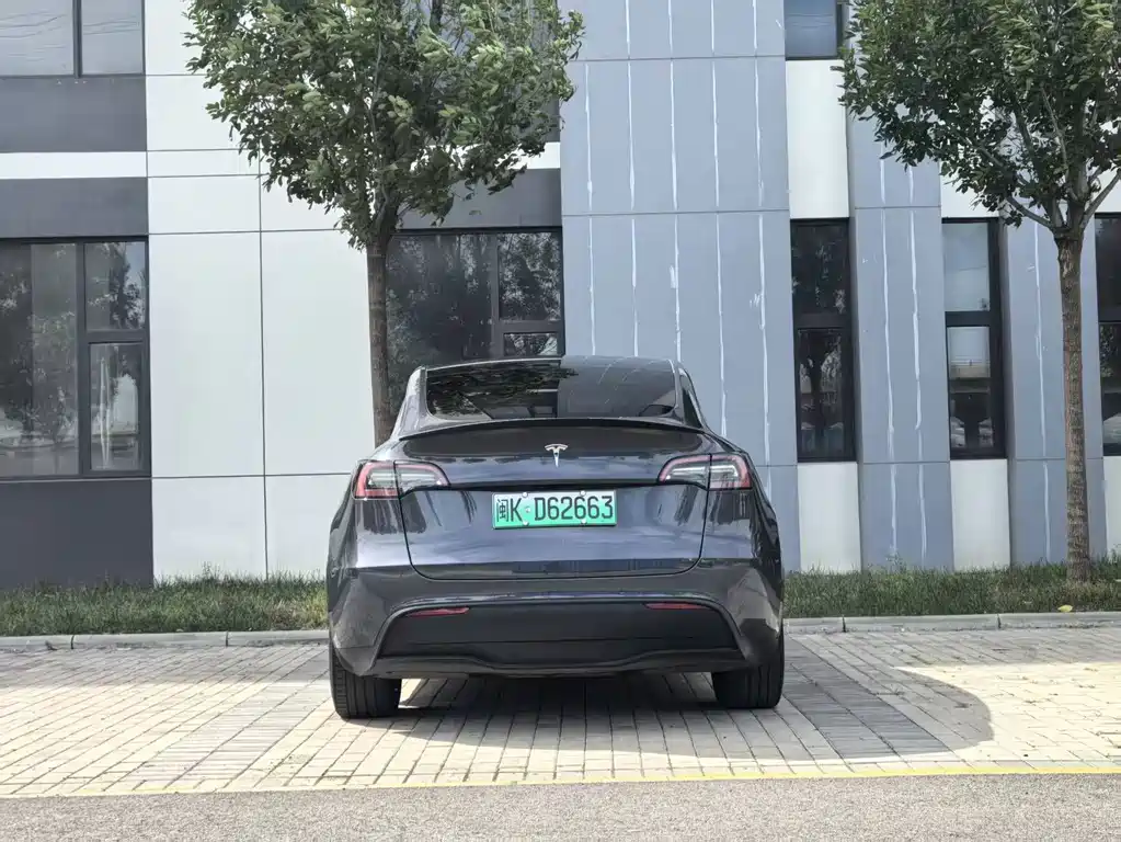 Tesla Model Y — миниатюра 8