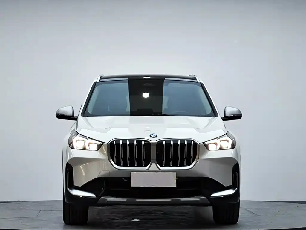BMW X1 — миниатюра 2