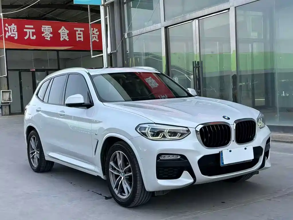 BMW X3 — миниатюра 3