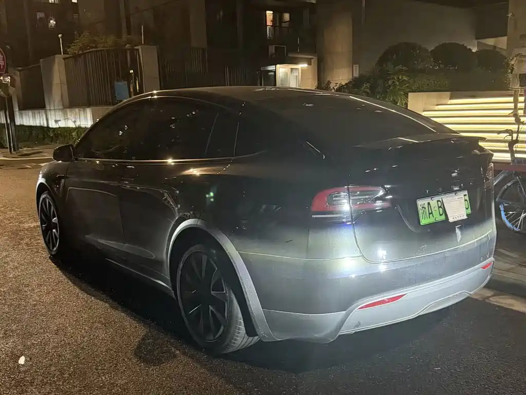 Tesla Model X — миниатюра 2