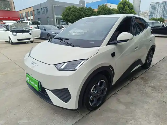 2025 BYD Seagull