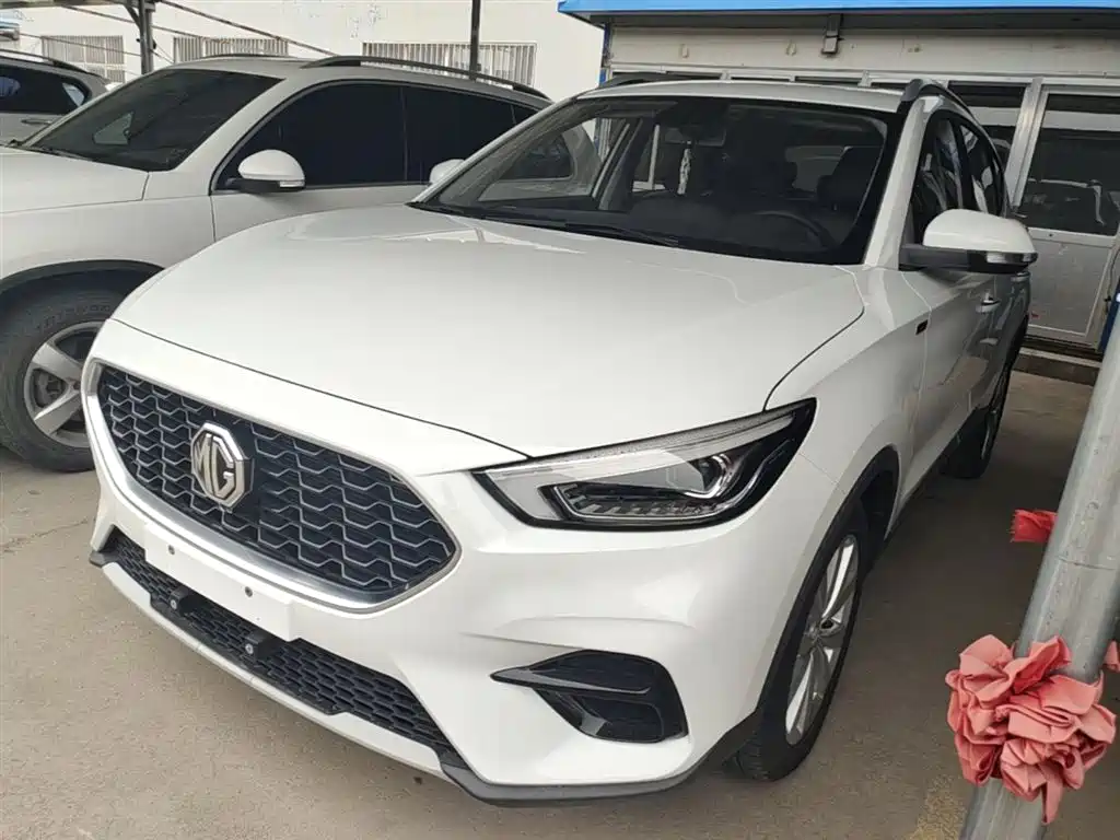 Mg ZS 2021