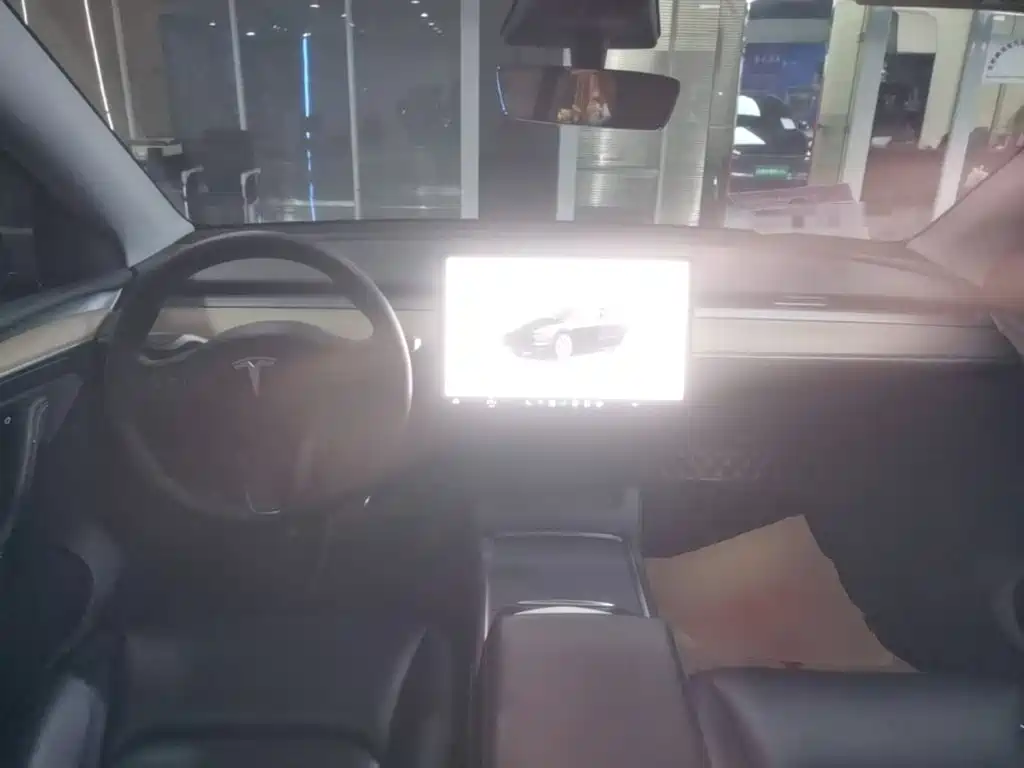 Tesla Model Y — миниатюра 10