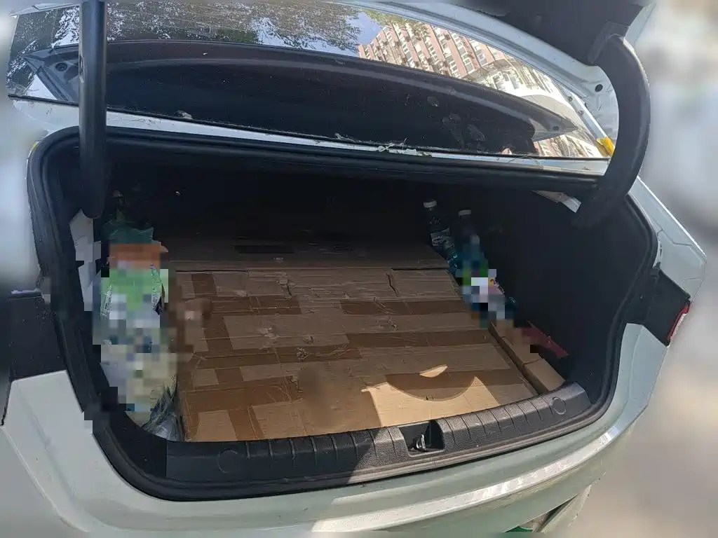 BYD Qin PLUS — миниатюра 20