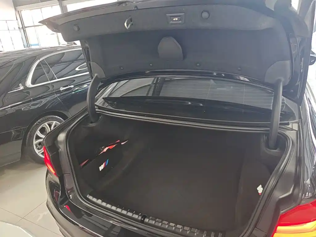 BMW 5 Series — миниатюра 19