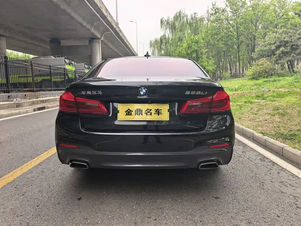 BMW 5 Series 5 2019 525Li M Sport