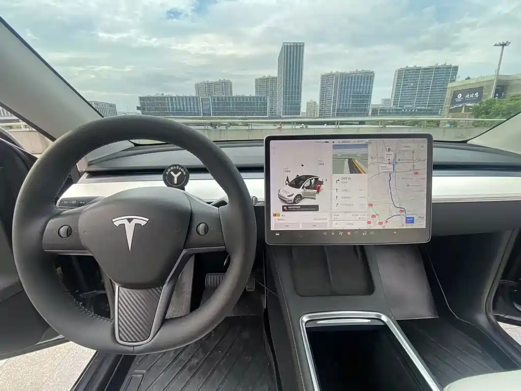 Tesla Model Y — миниатюра 10