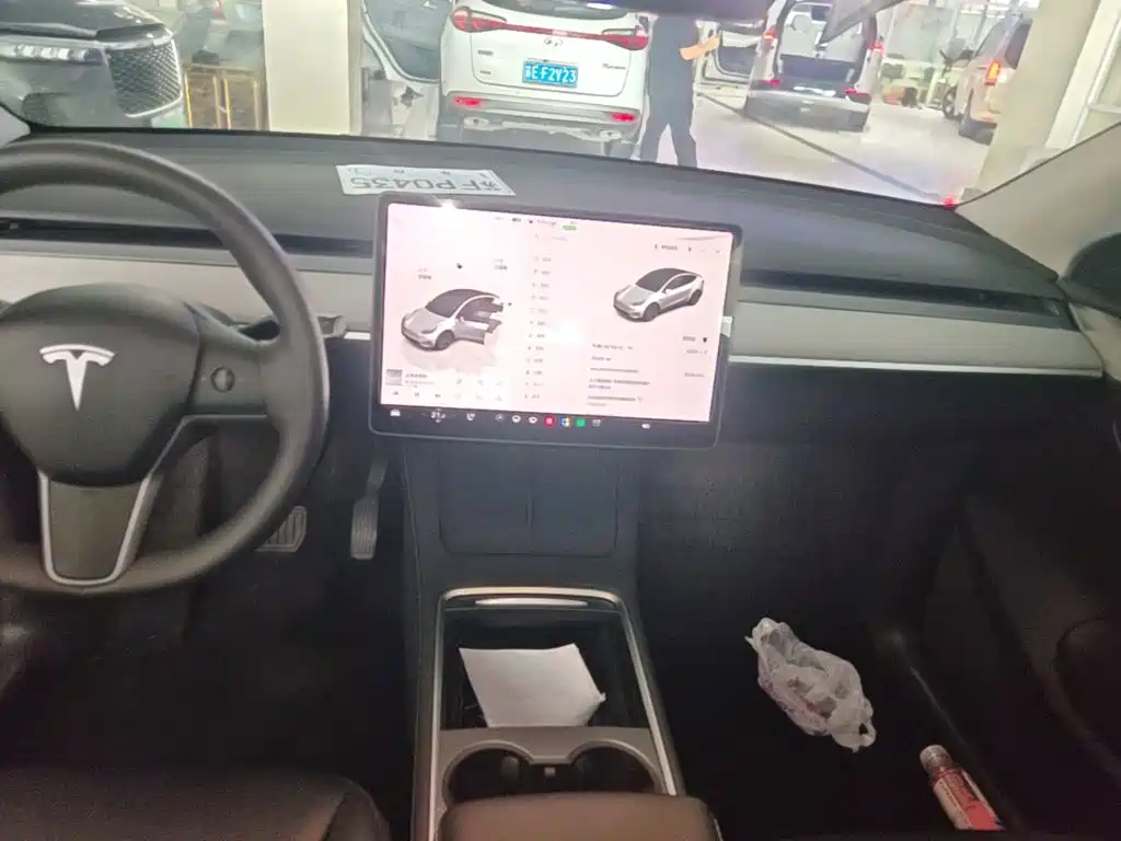 Tesla Model Y — миниатюра 13