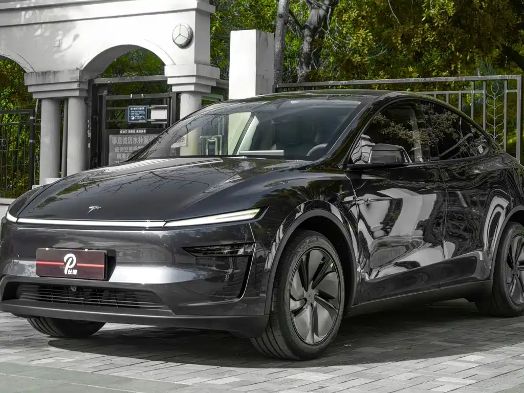 Tesla Model Y — миниатюра 3