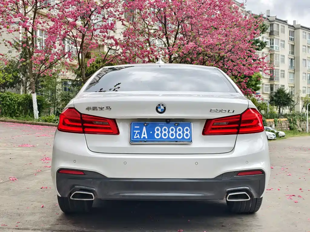 BMW 5 Series 5 2020 530Li Premium M Sport