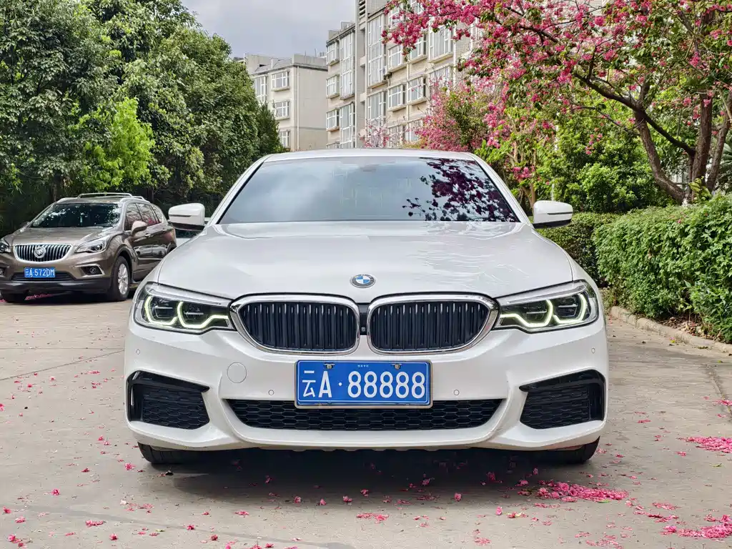 BMW 5 Series 5 2020 530Li Premium M Sport