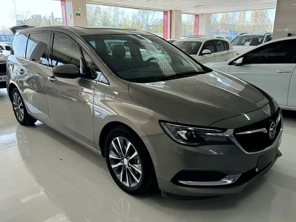 Buick GL6 — миниатюра 16
