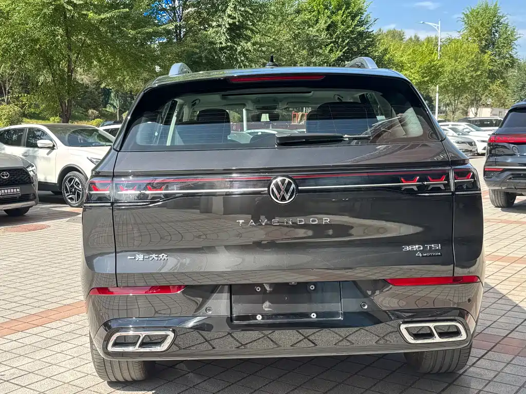 Volkswagen Tavendor — миниатюра 16
