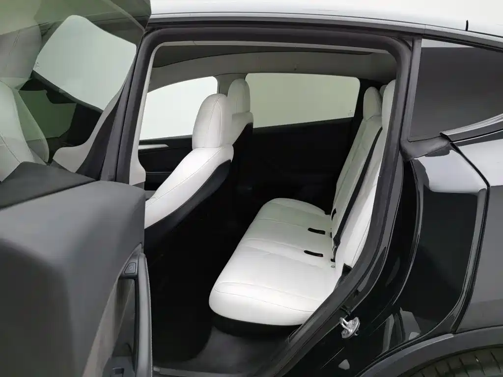 Tesla Model Y — миниатюра 15