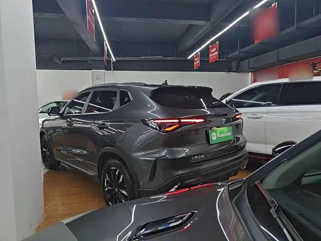 Oshan Oushang X5 PLUS — миниатюра 5