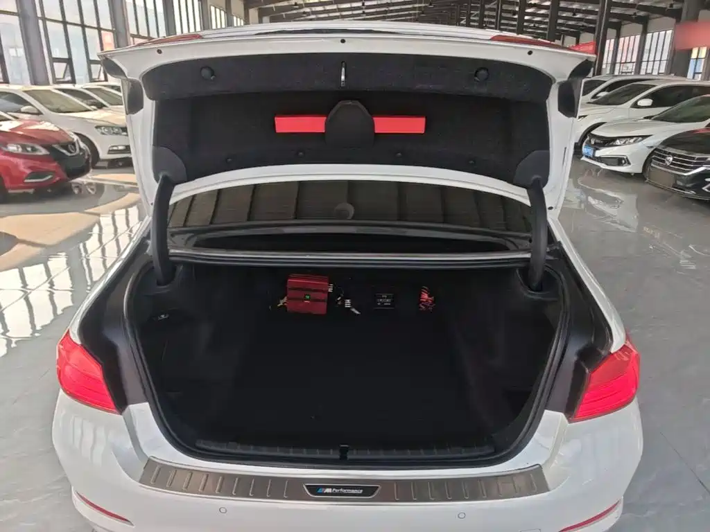 BMW 5 Series — миниатюра 19