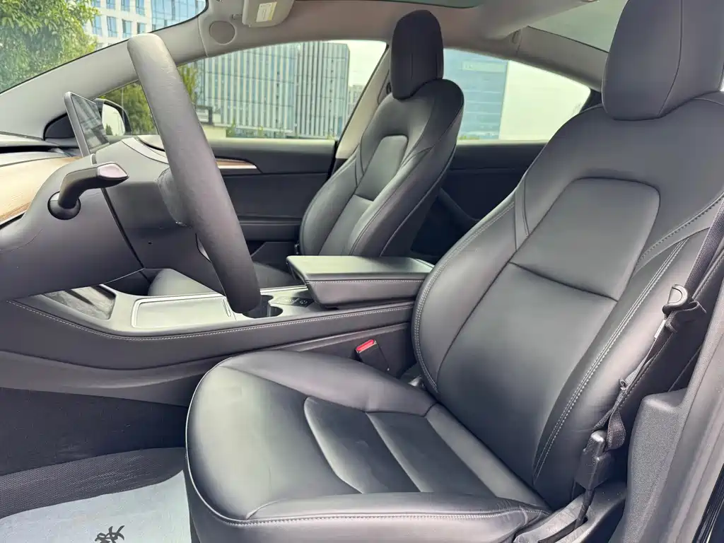 Tesla Model 3 — миниатюра 11