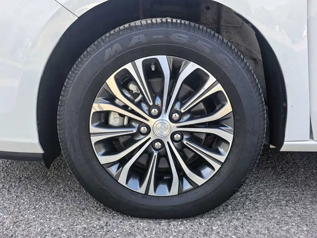 Buick GL8 — миниатюра 3