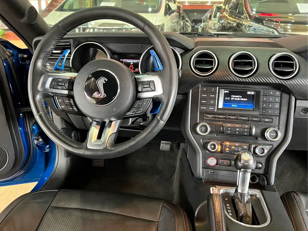 Ford Mustang — миниатюра 12