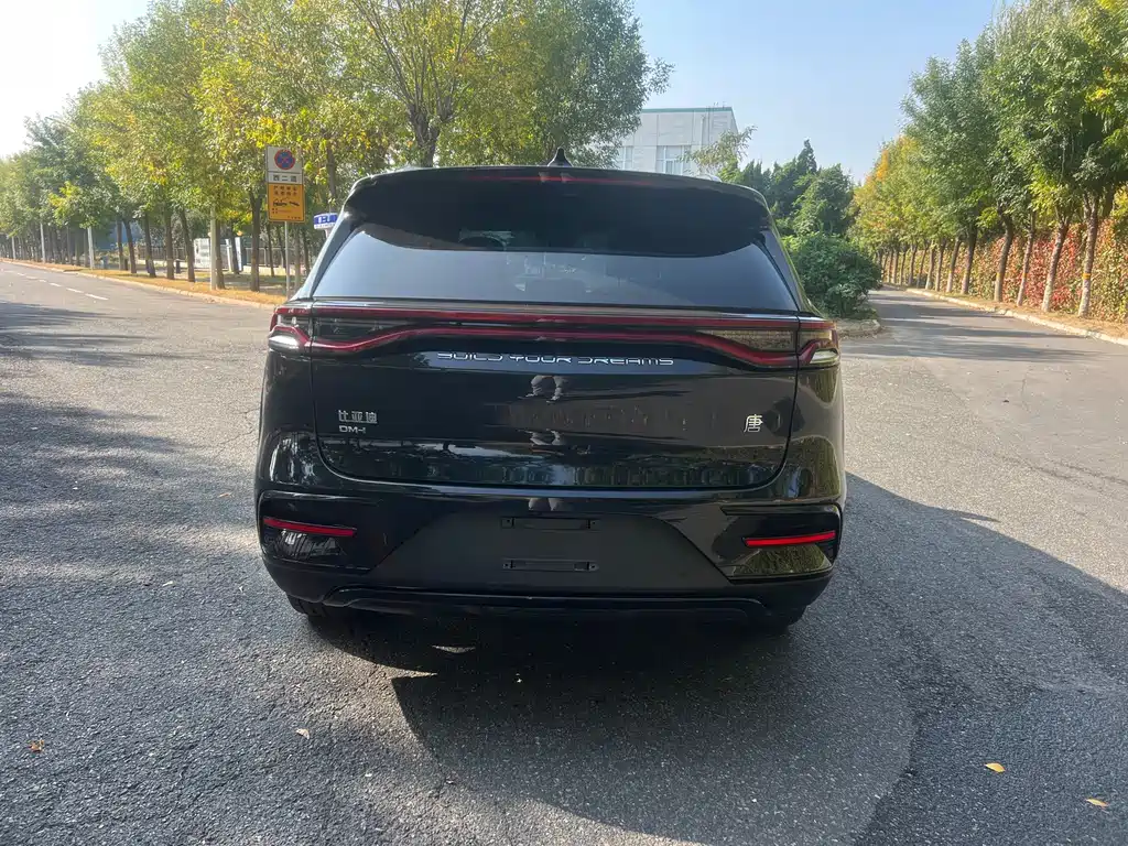 BYD Tang New Energy — миниатюра 5