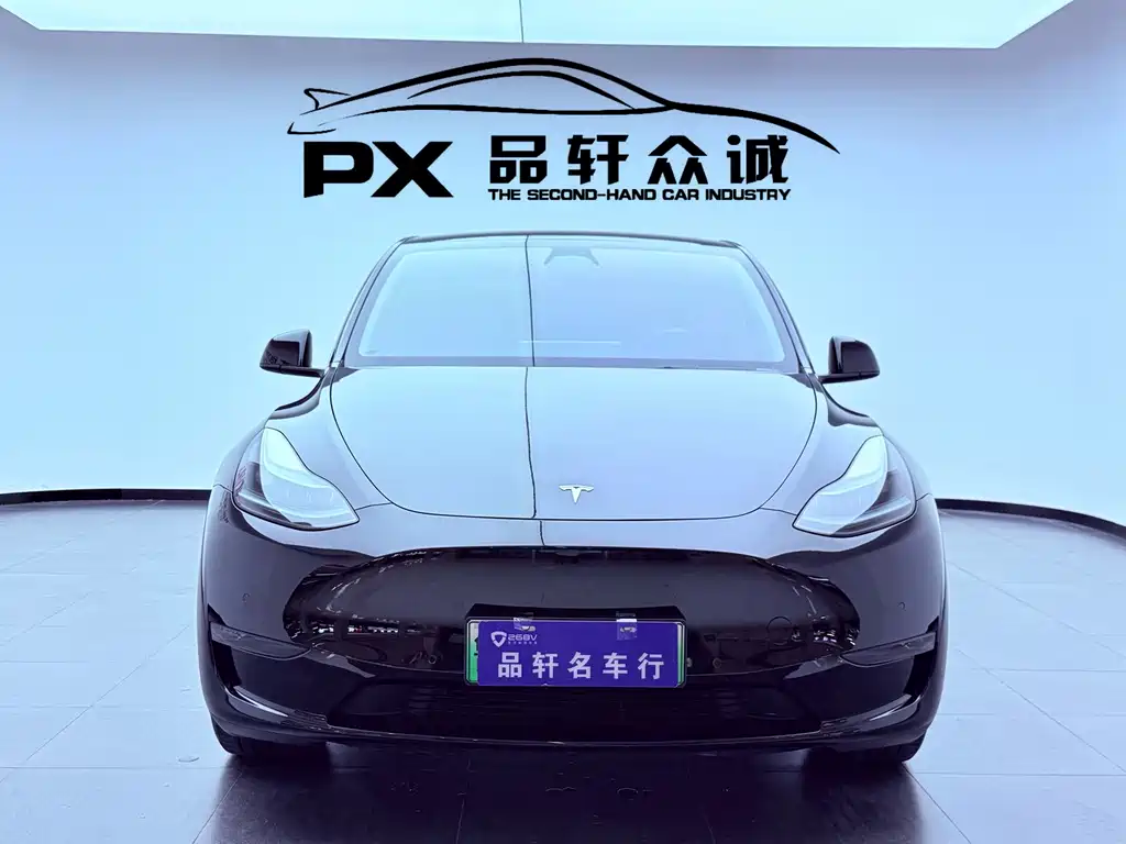 Tesla Model Y — миниатюра 2