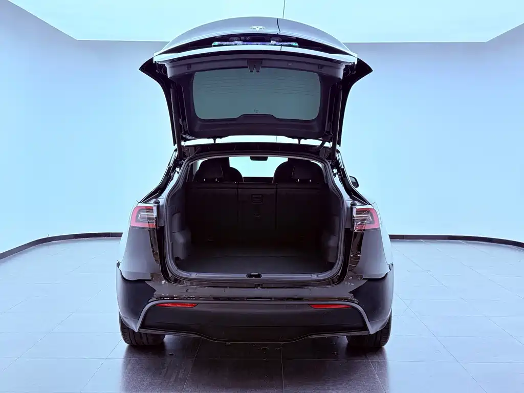 Tesla Model Y — миниатюра 24