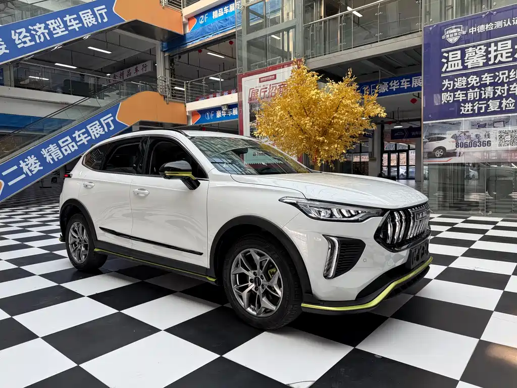 Haval Chitu — миниатюра 2