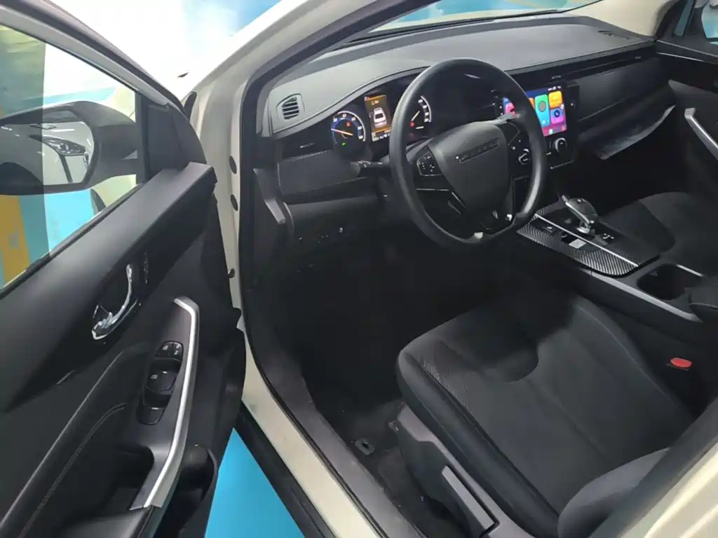 Venucia D60 EV — миниатюра 16