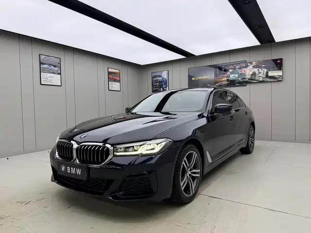 BMW 5-Series 2022 530 Li x Drive M — фото 1