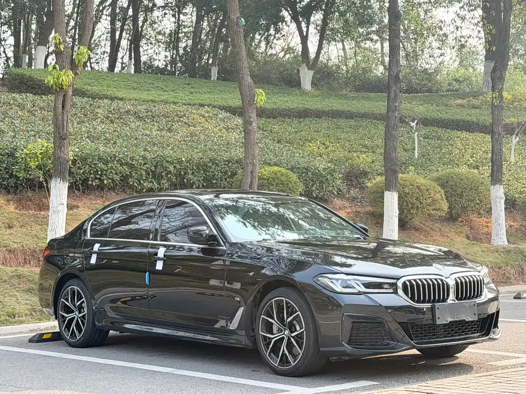 BMW 5 Series 5 2023 530Li Premium M Sport