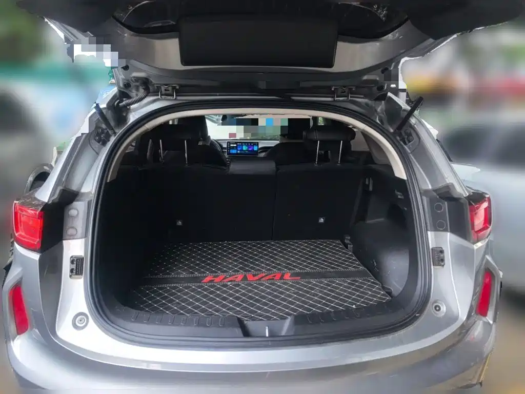 Haval Chitu — миниатюра 15