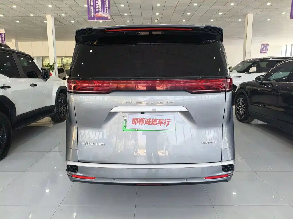 Denza Denza D9 — миниатюра 5